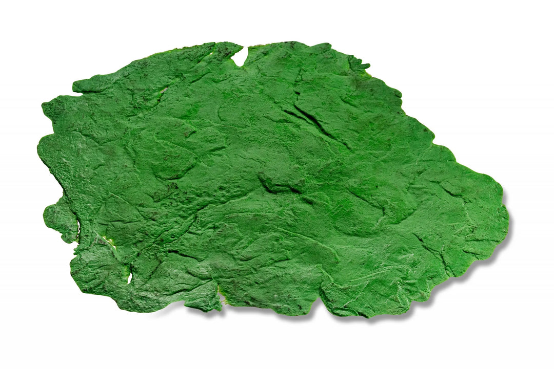 FOR HIRE: Coarse Slate Texture Skin/Touch Up Mat