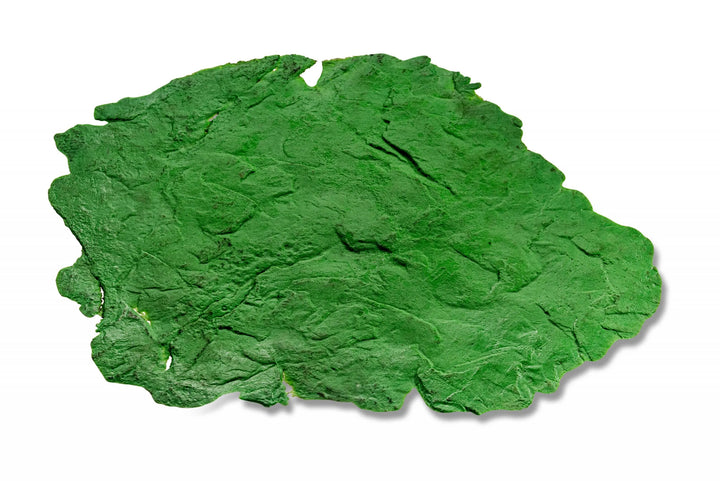 FOR HIRE: Coarse Slate Texture Skin/Touch Up Mat